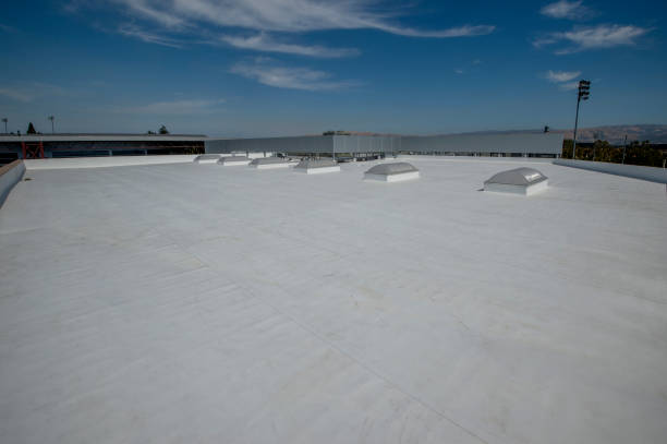 Best Sheet Metal Roofing  in Muhlenberg Rk, PA