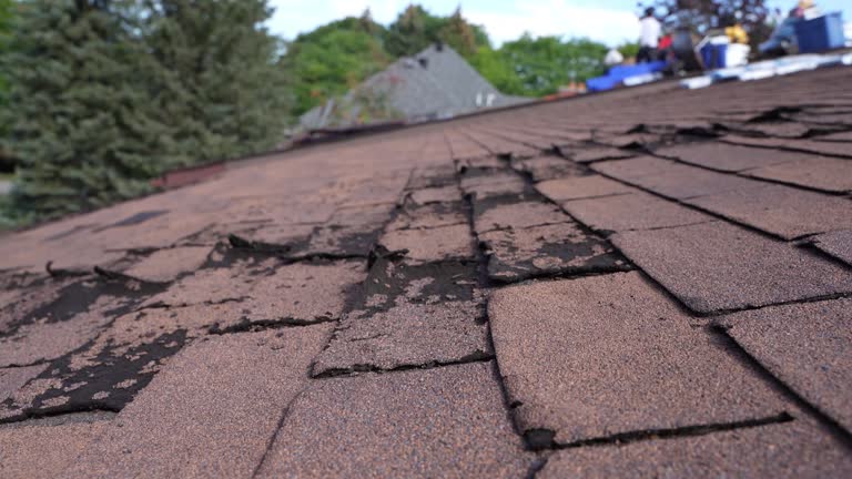 Best Storm Damage Roof Repair  in Muhlenberg Rk, PA